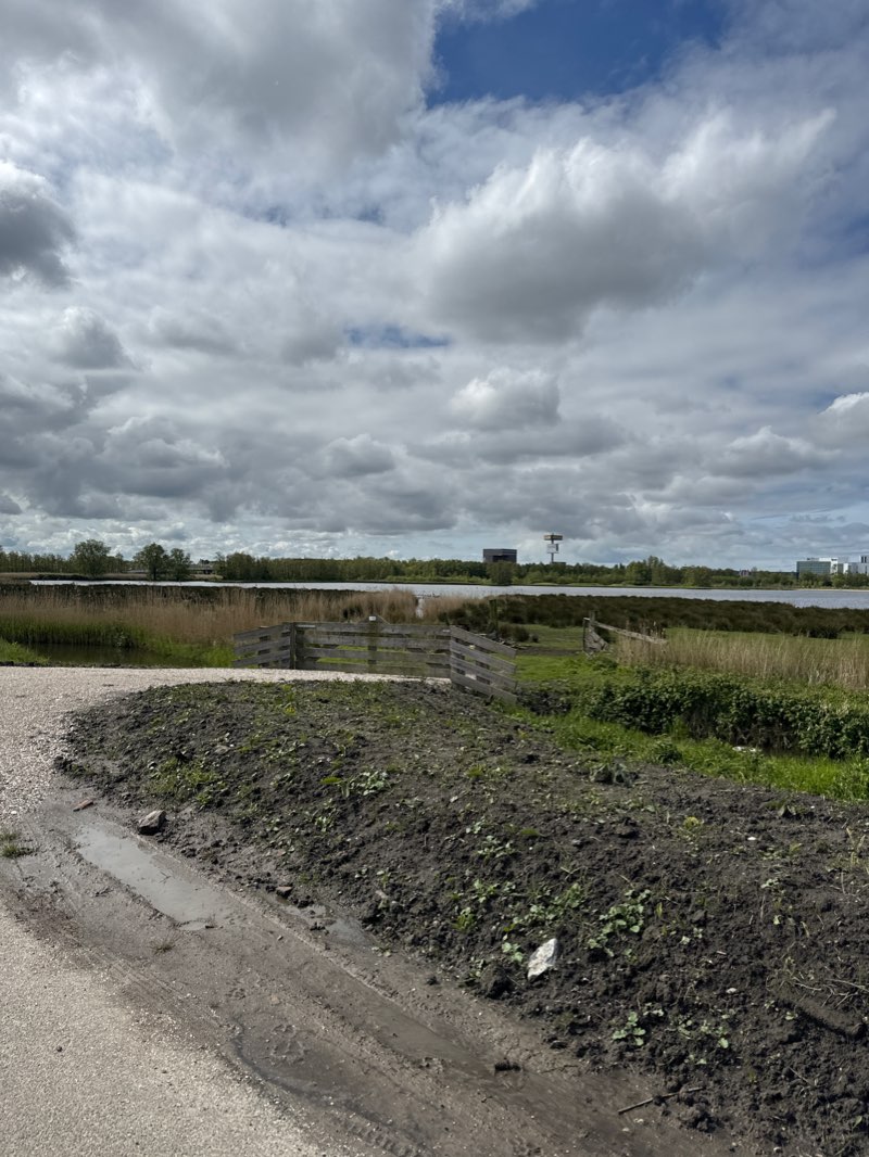 walking near me in Burgemeester Reinaldapark in winter