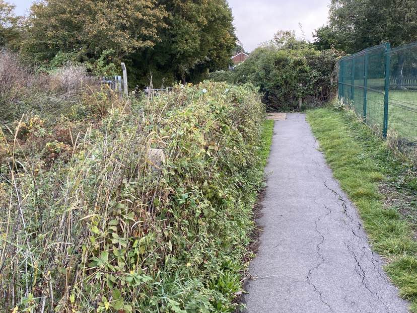 walking near me in Langer Park in autumn