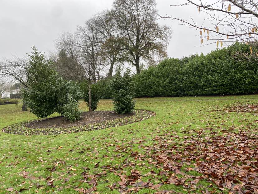 walking near me in Mansfield Road Recreation Ground in autumn