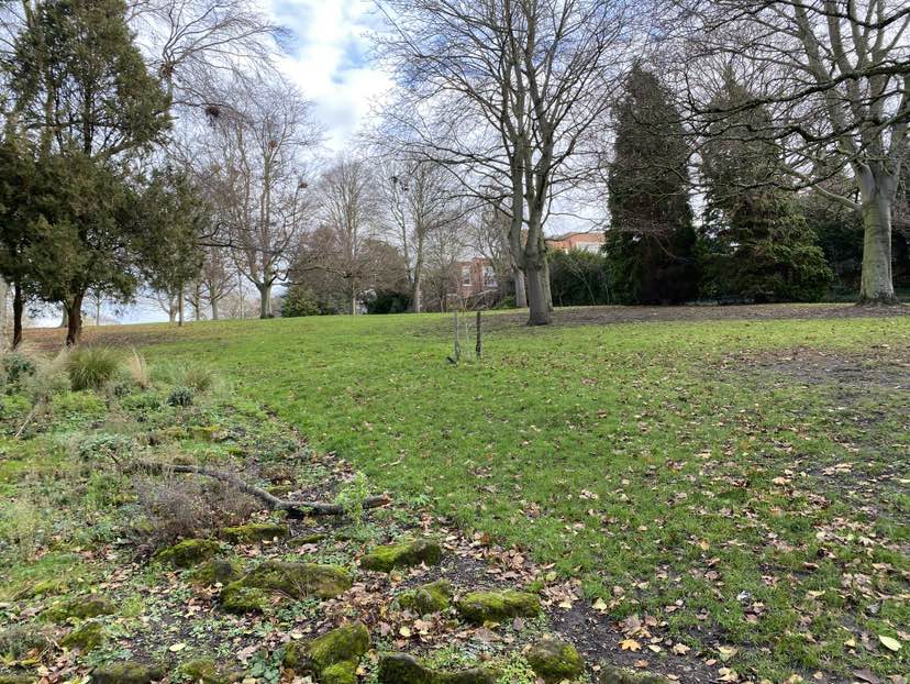 walking near me in Arboretum in winter