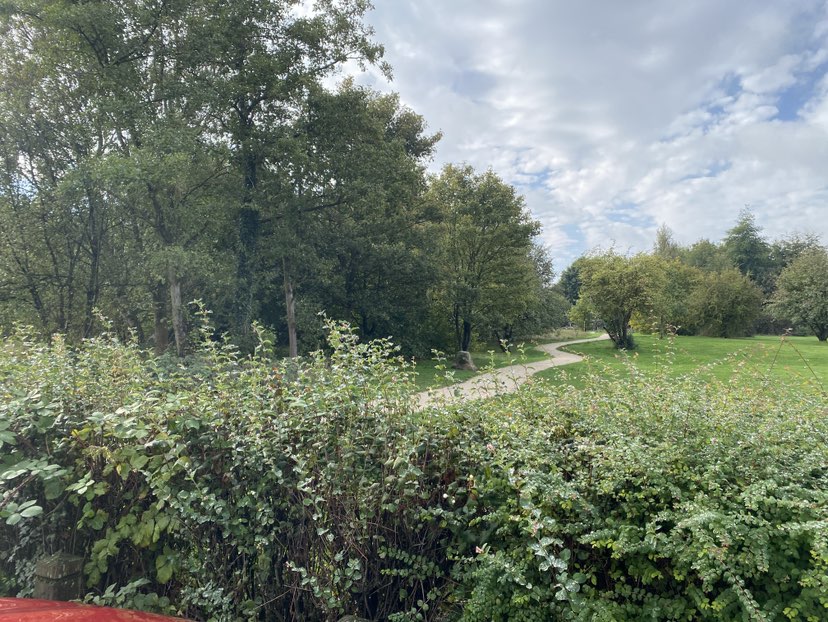 walking near me in Selston Country Park in autumn