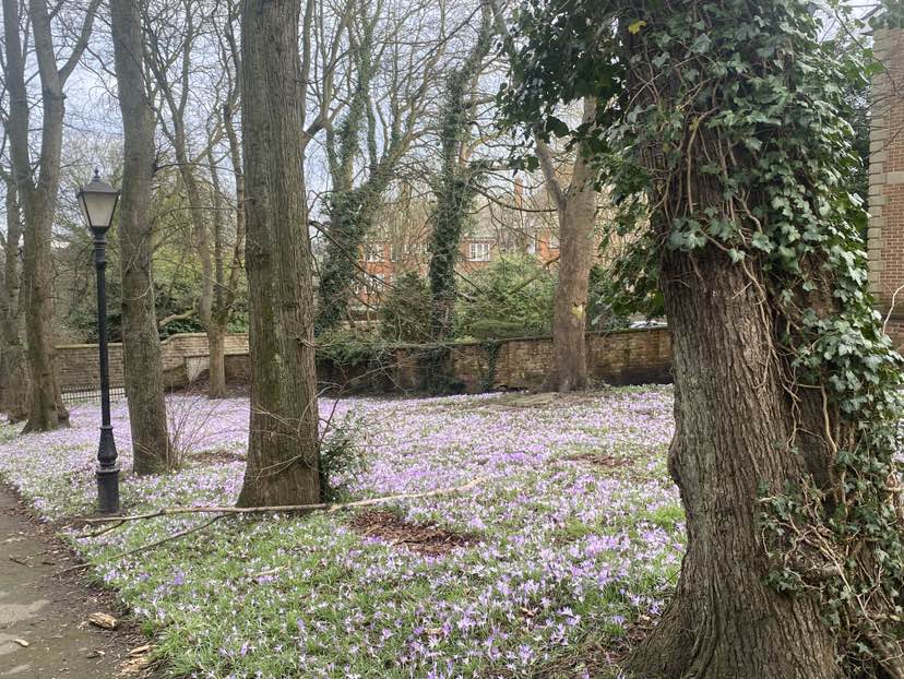 walking near me in Trinity Park in winter
