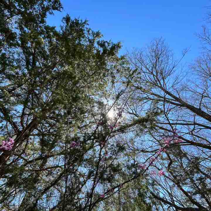 MerryElle💕 post 1