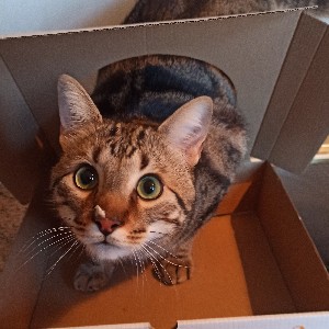 Lucy 🤍🧸🍦🌼