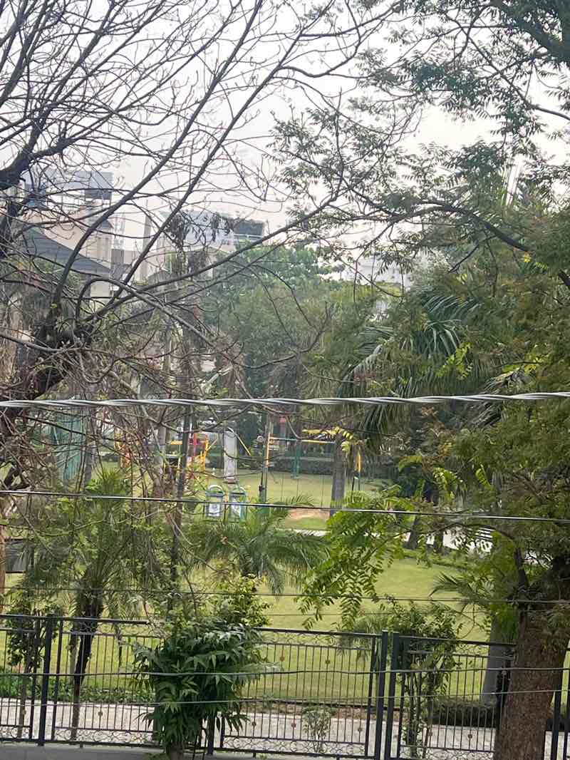 walking near me in Park in winter