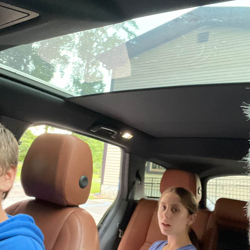 Syd’s Spectacular Steps belasuich83 post image