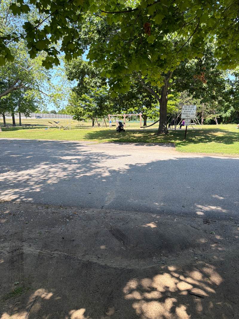 walking near me in Hilton Park in summer