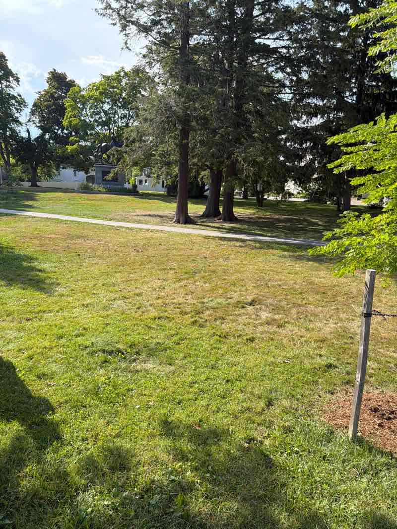 walking near me in Haven Park in summer