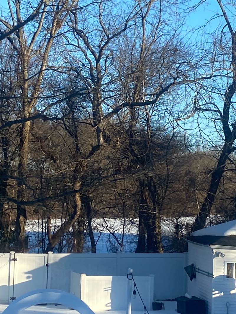 walking near me in Frazer Park in winter