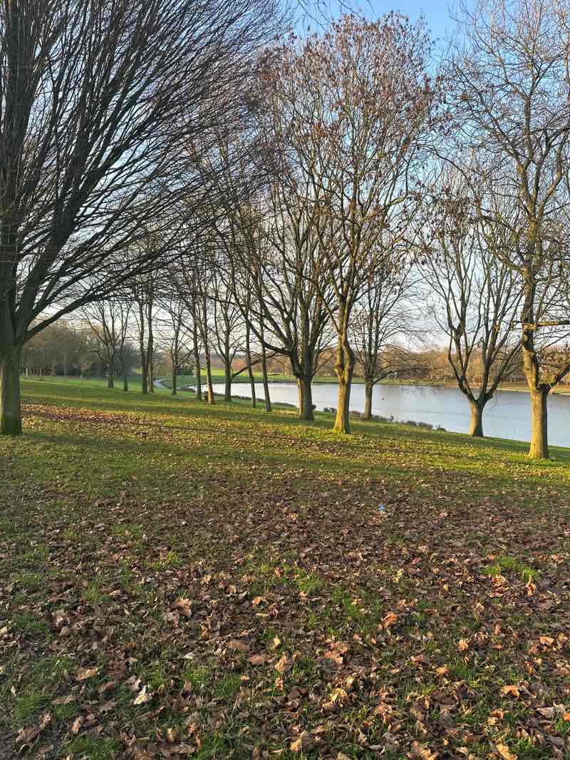 walking near me in Fairlands Park in winter