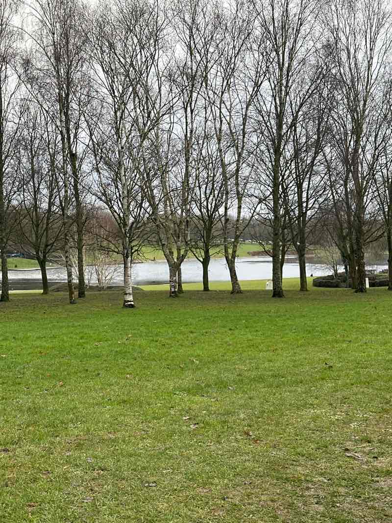 walking near me in Fairlands Park in winter