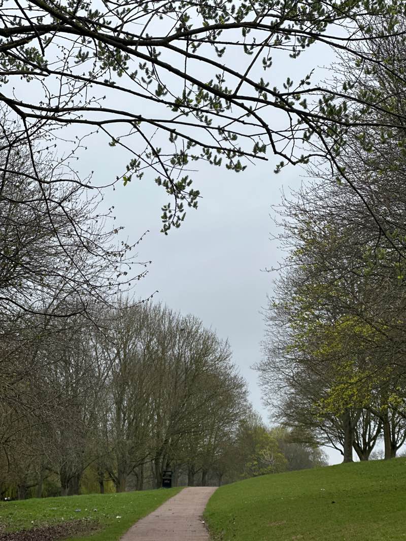 walking near me in Fairlands Park in spring