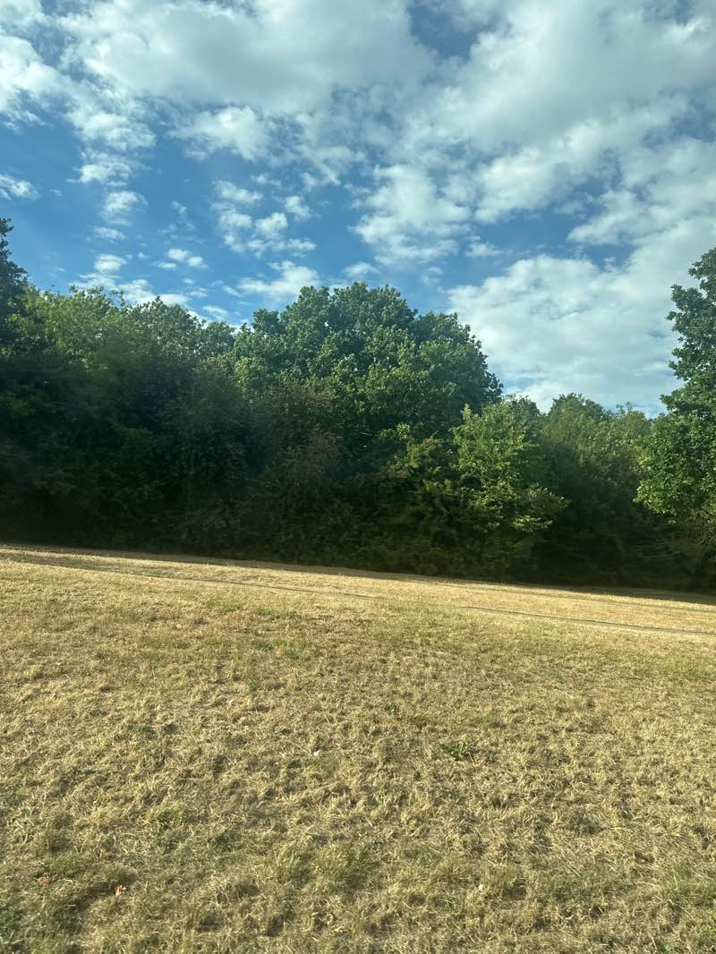 walking near me in Fairlands Park in summer