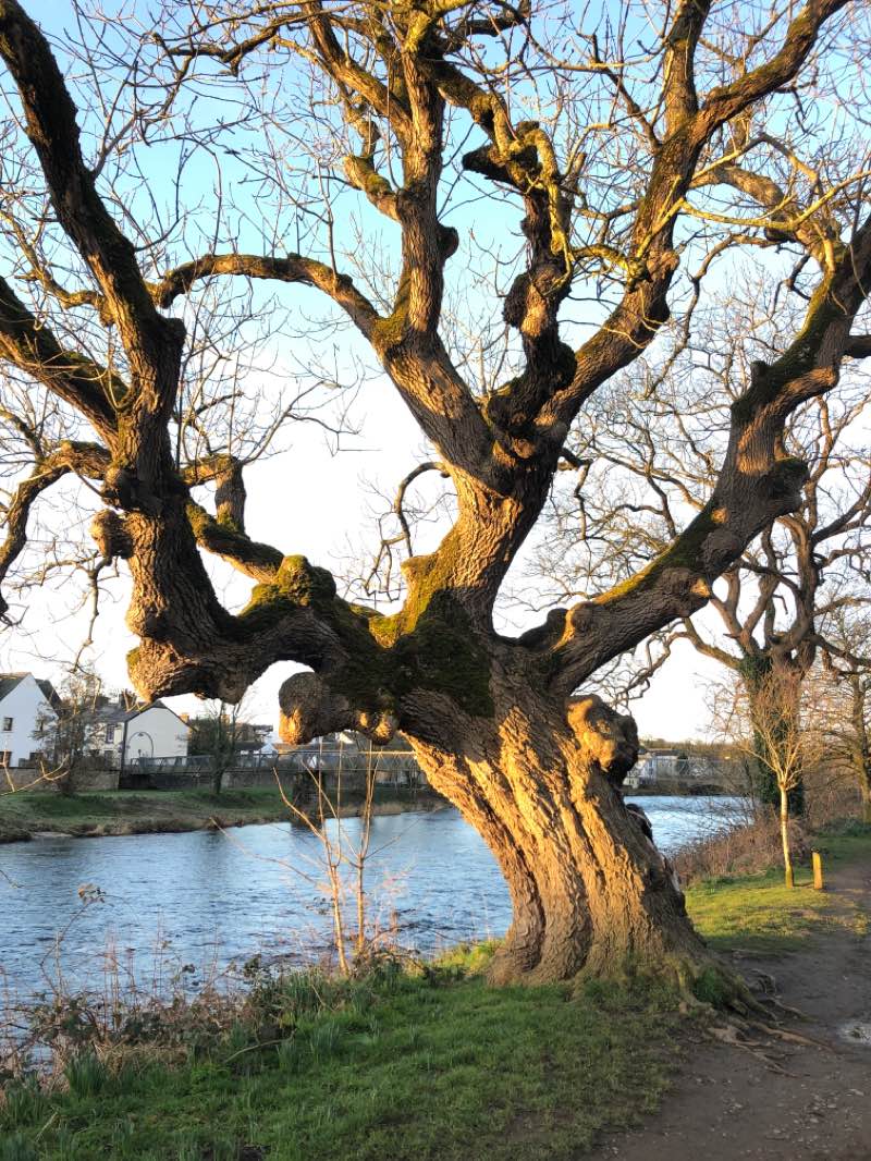 walking near me in Memorial Park in winter