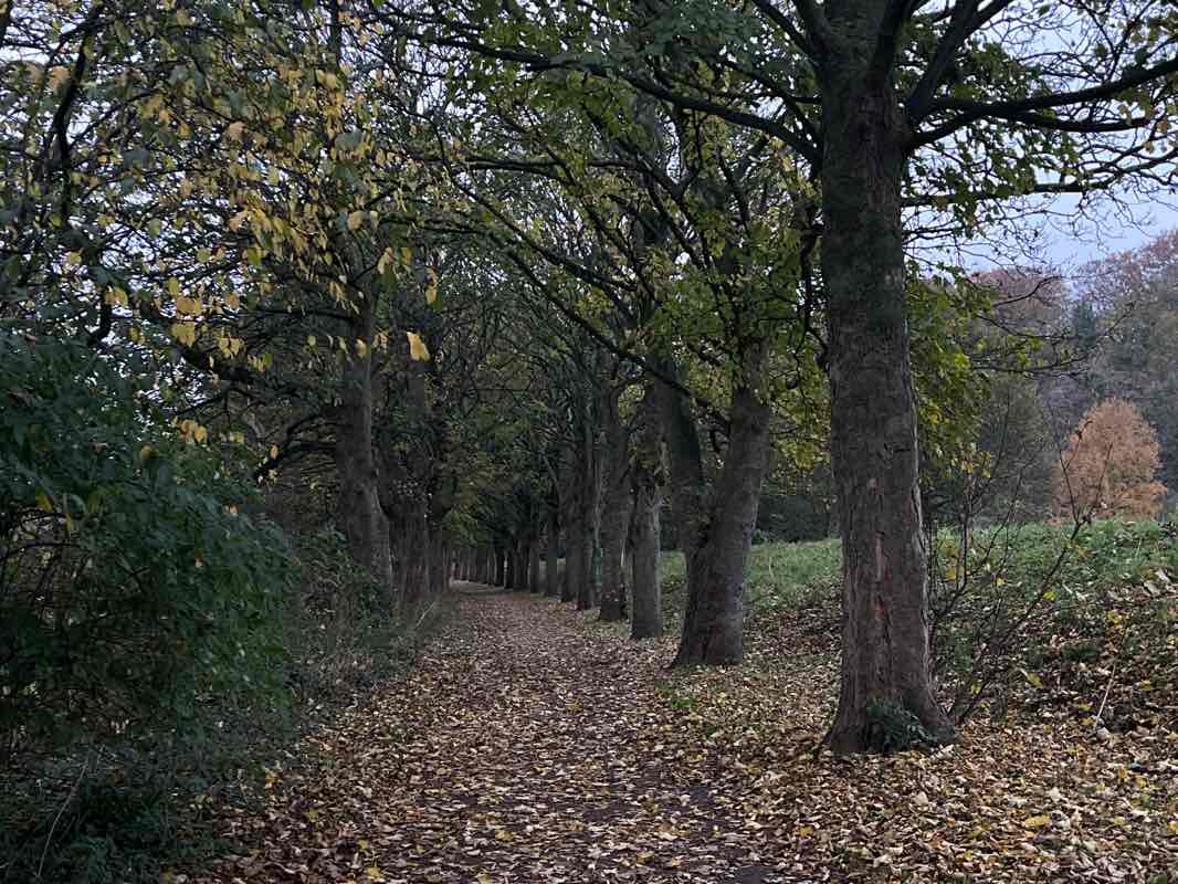 walking near me in The Tower Grounds in winter