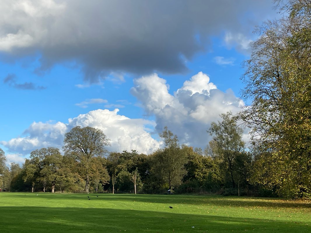 walking near me in Witton Country Park in autumn