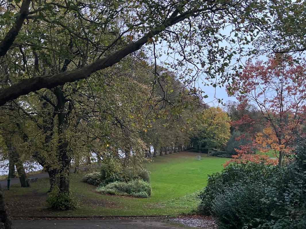 walking near me in Elworth Park in autumn