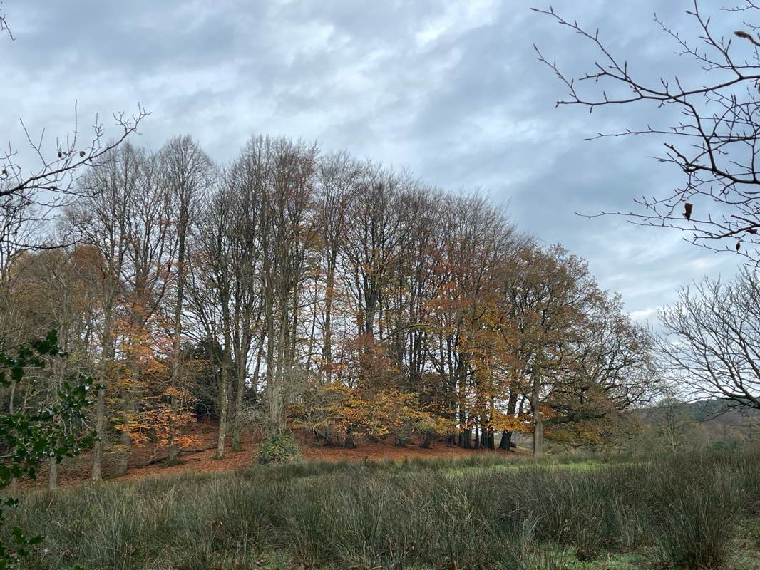 walking near me in Ightenhill Park in autumn