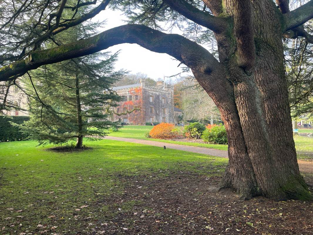 walking near me in Towneley Park in autumn