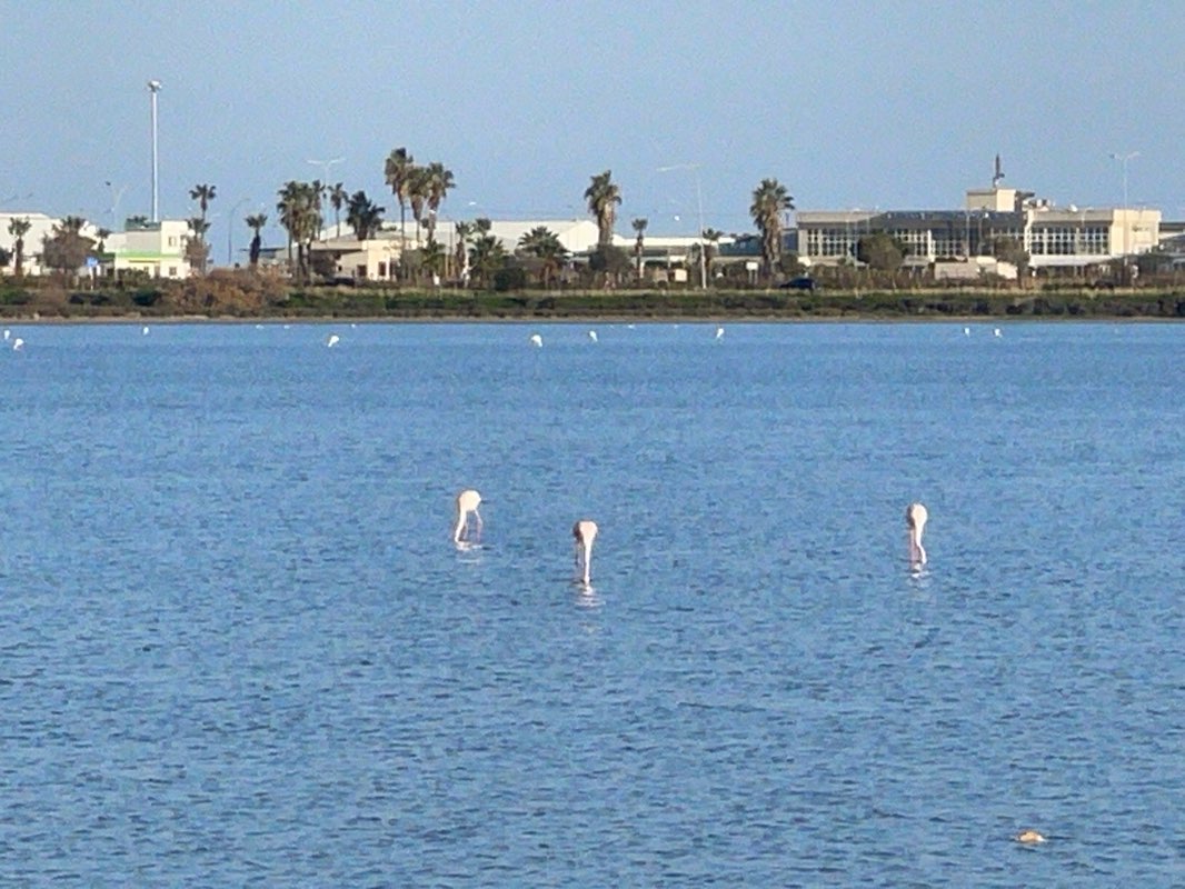 walking near me in Πάρκο Πεσόντων Ελδυκ in winter