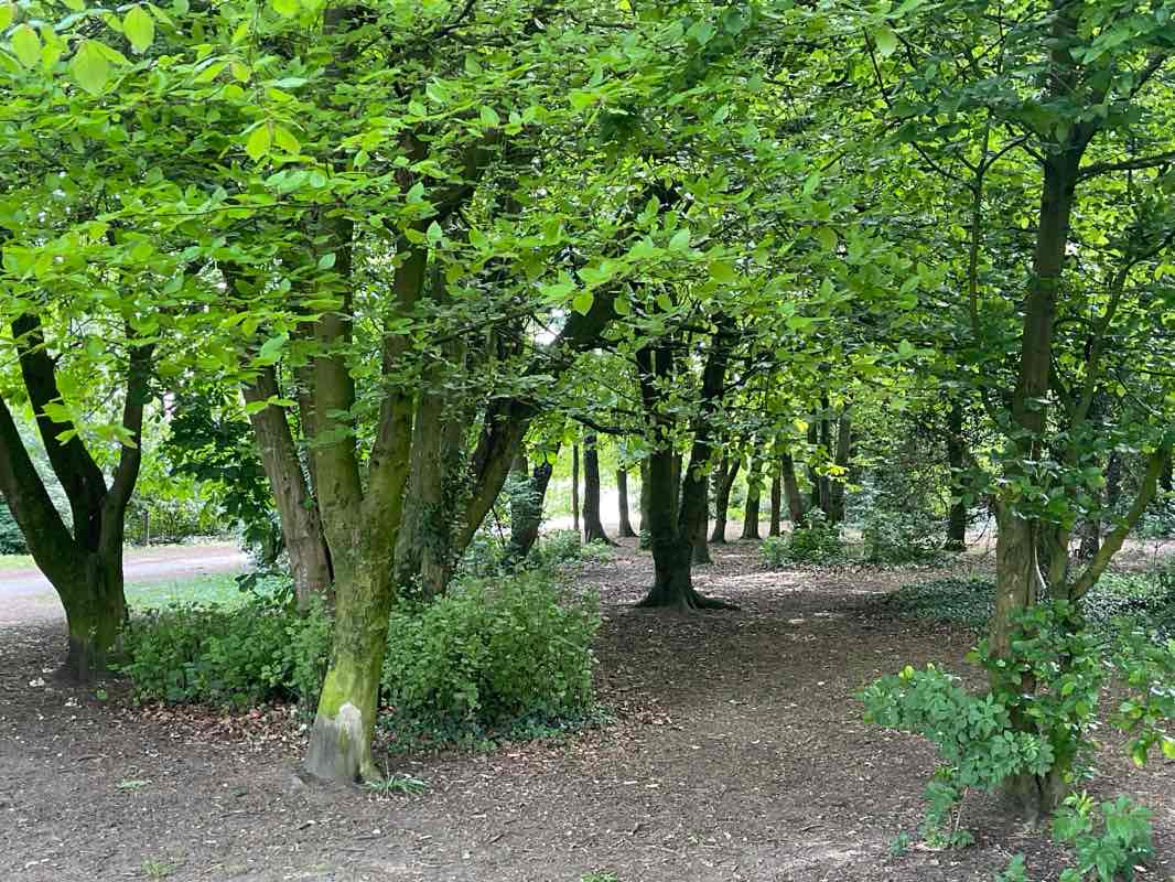 walking near me in Withy Grove Park in spring