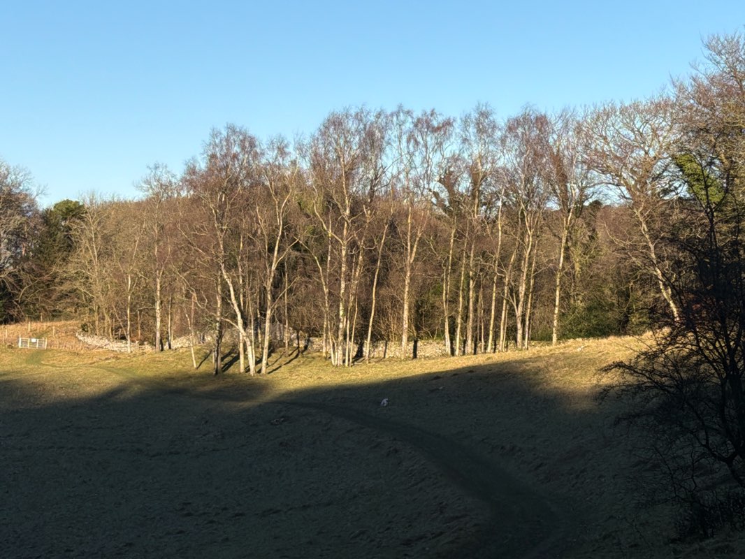 walking near me in RSPB Leighton Moss in winter