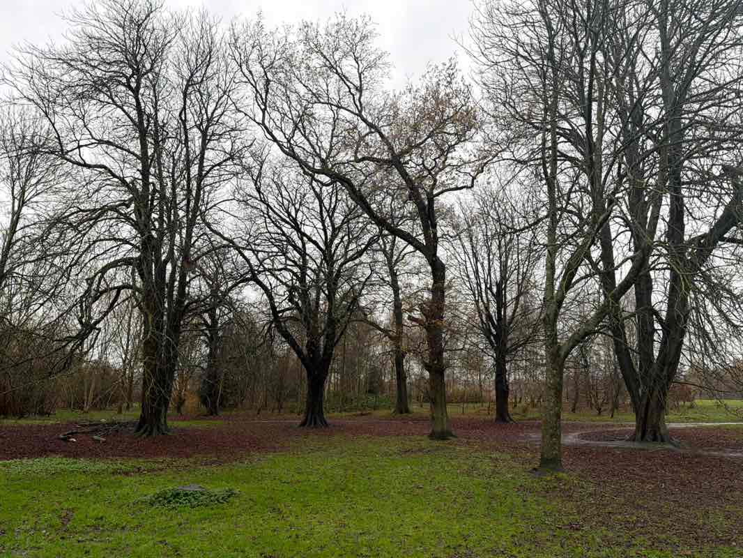 walking near me in Ashton Park in winter