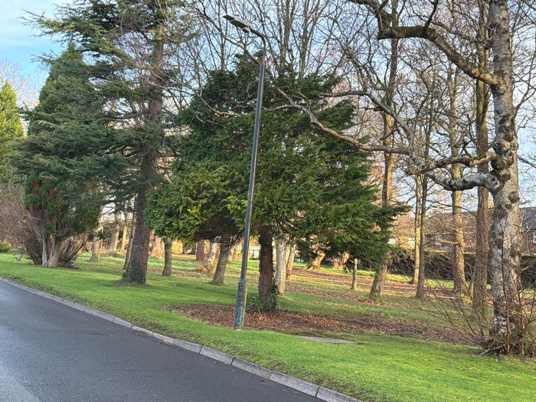 walking near me in Long Wood Park in winter