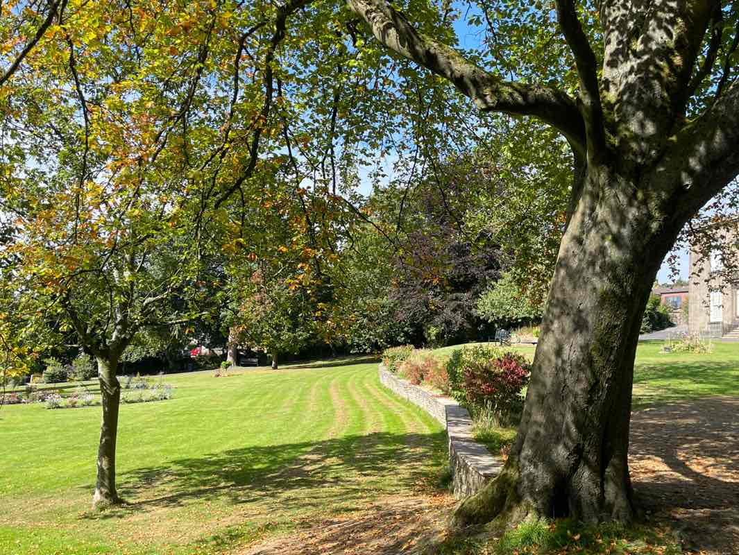 walking near me in Whittaker Park in autumn