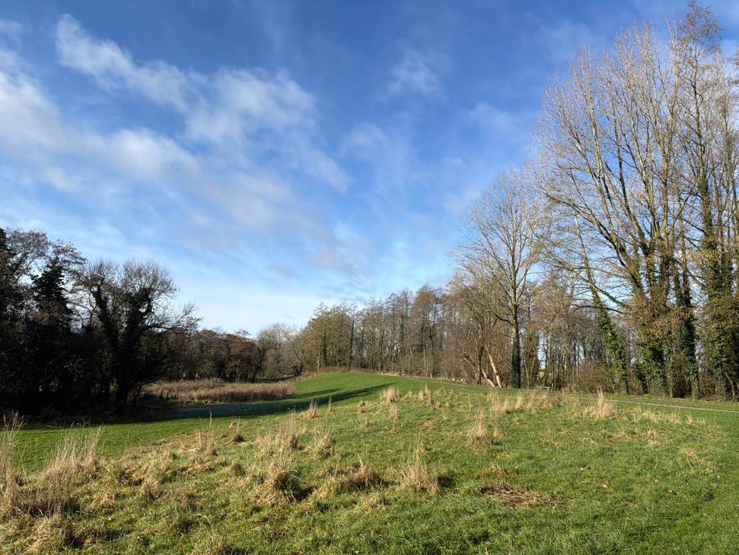 walking near me in Paradise Park in winter