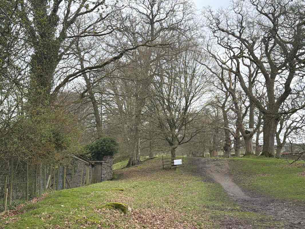 walking near me in Levens Park in spring