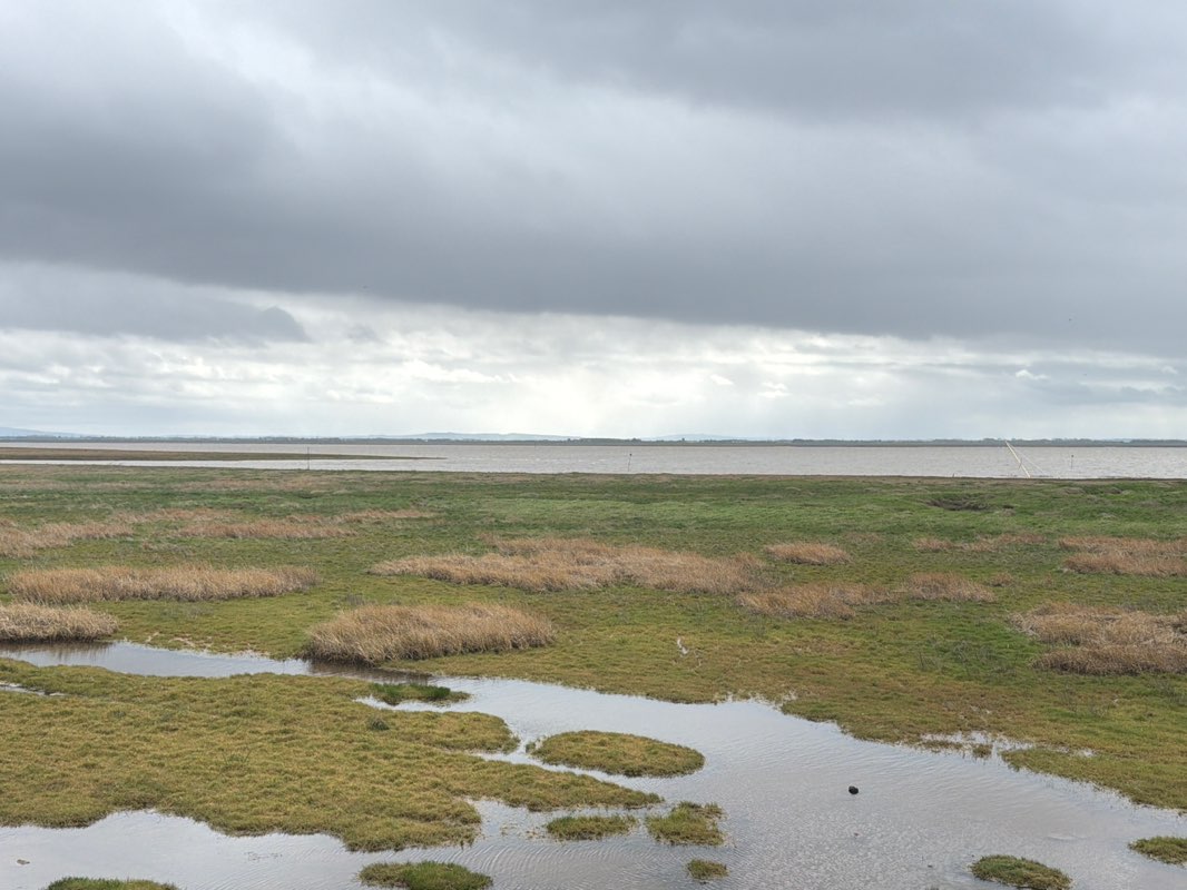 walking near me in The Green in spring