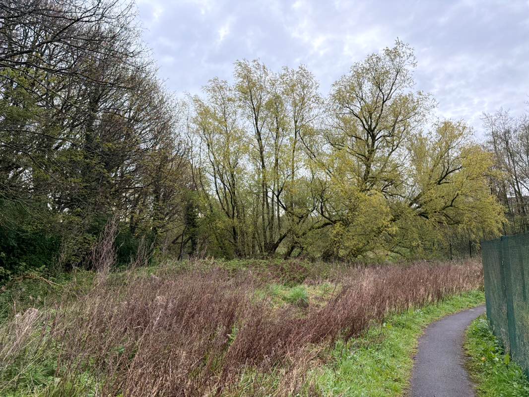 walking near me in Eaves Brook Linear Park in spring
