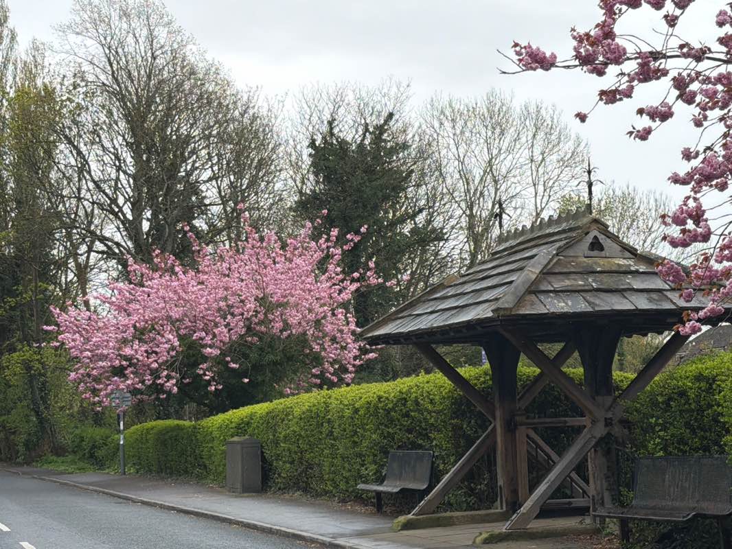 walking near me in Moss Side Village Green in spring
