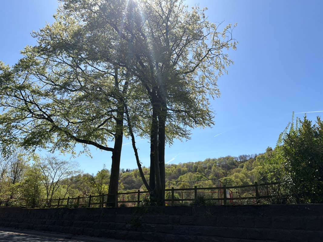 walking near me in Centre Vale Park in spring