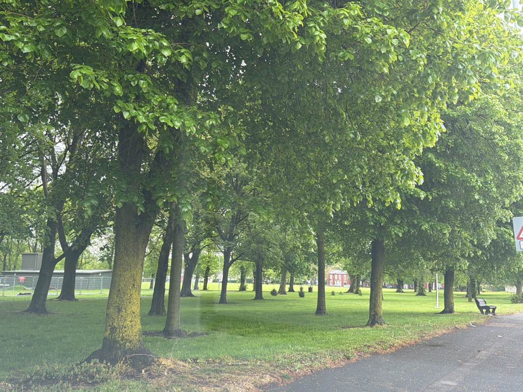 walking near me in Ribbleton Park in spring