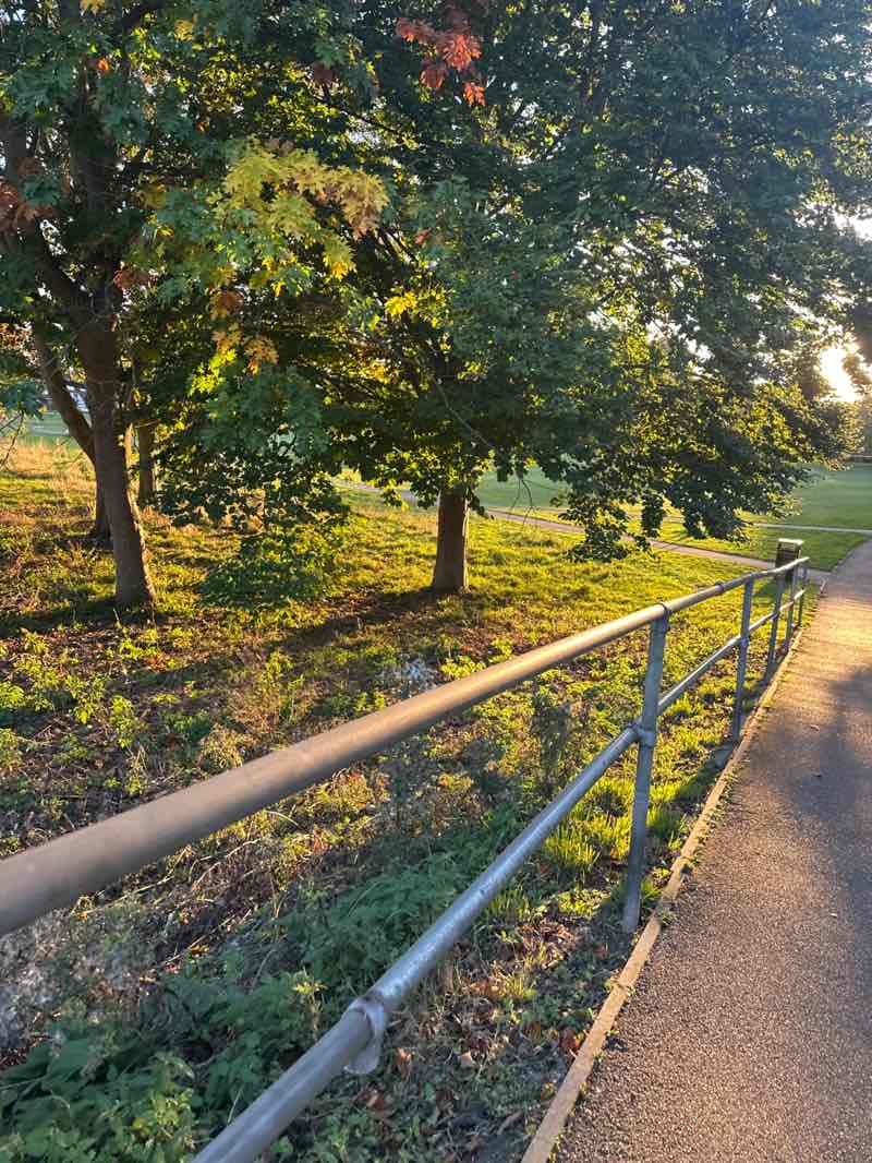 walking near me in Cowley Hall Recreation Ground in autumn