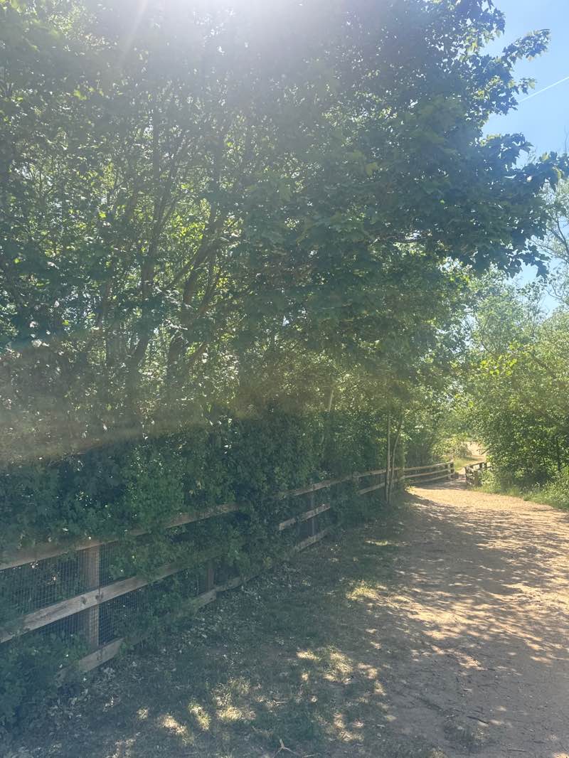 walking near me in Bedfont Lakes Country Park. in summer