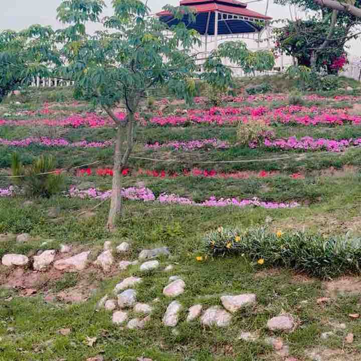 shoaib khan post 1