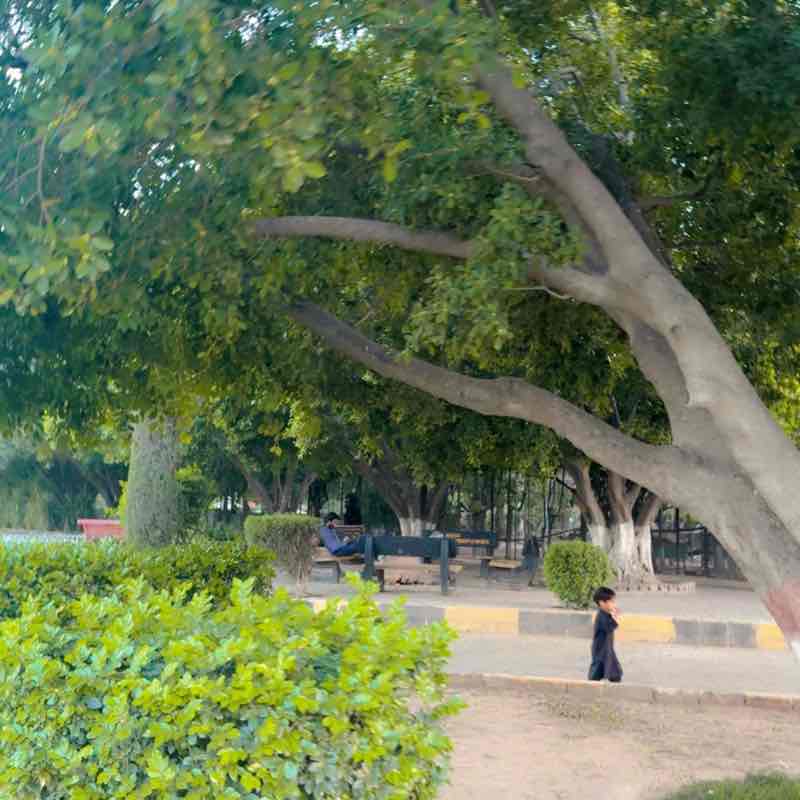 shoaib khan post 3