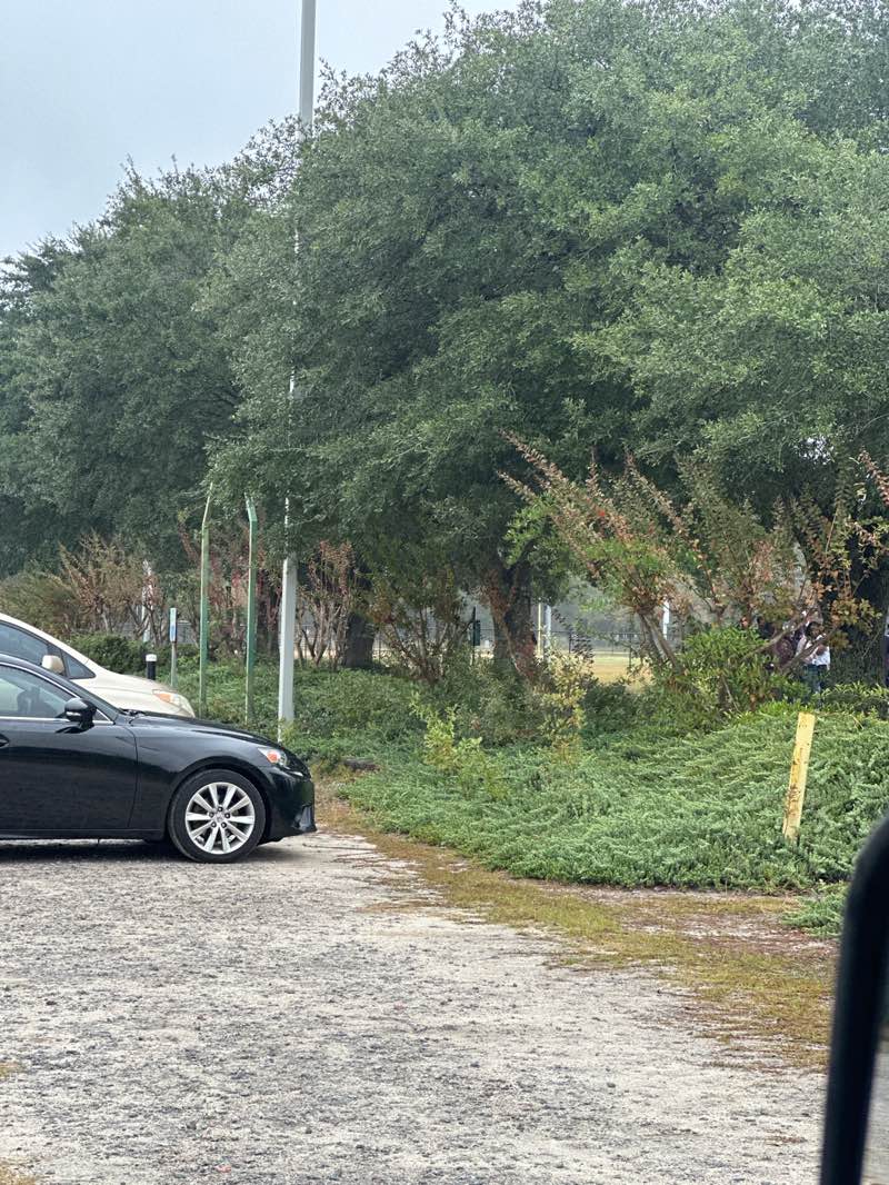 walking near me in Julia Lester Dillon Park in autumn