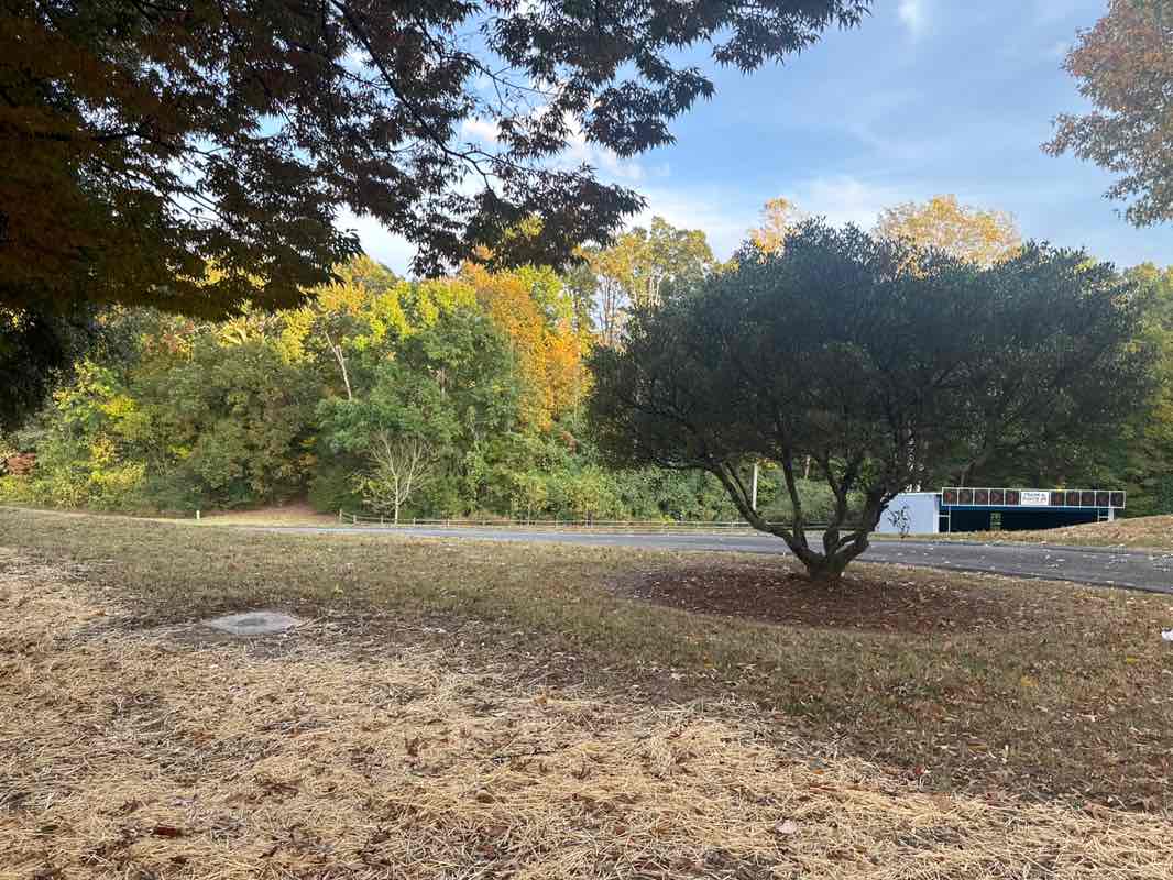 walking near me in Les Myers Community Park in autumn