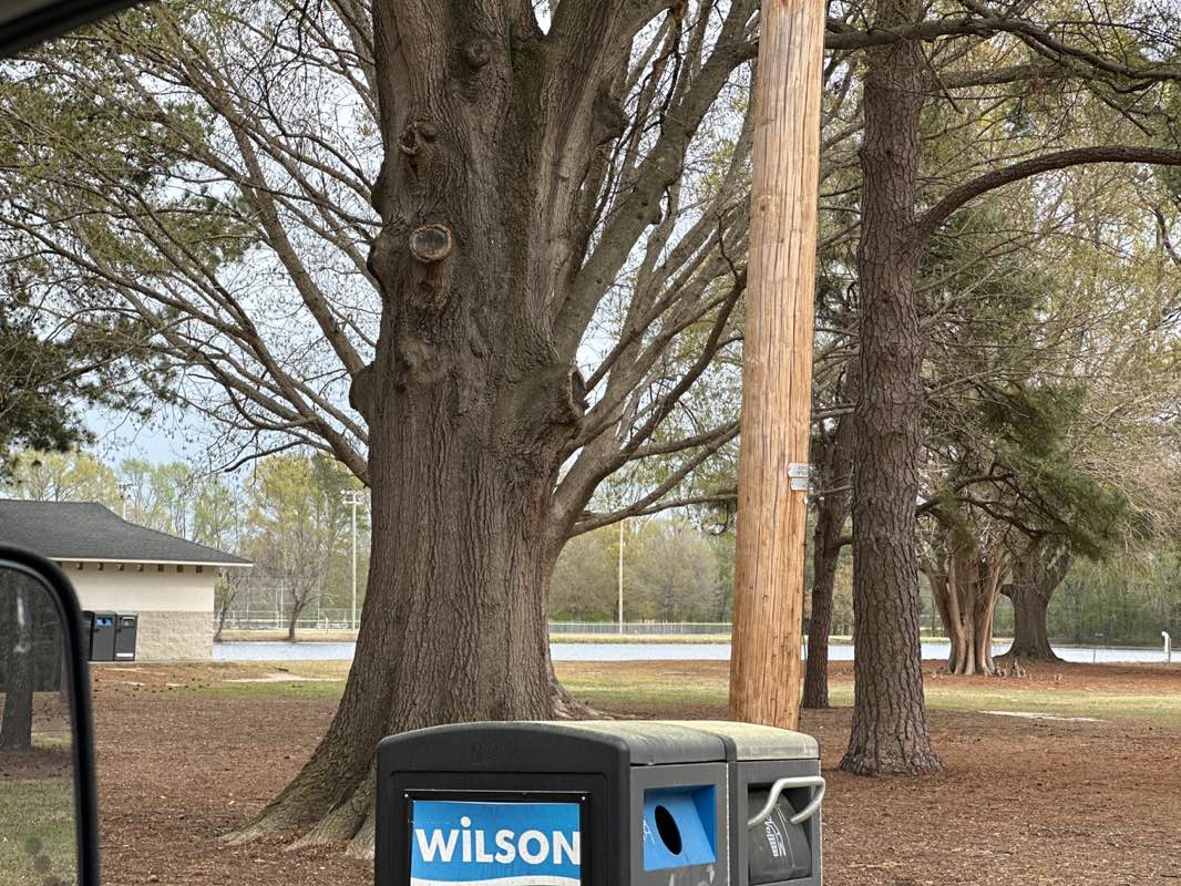 walking near me in Toisnot Park in spring