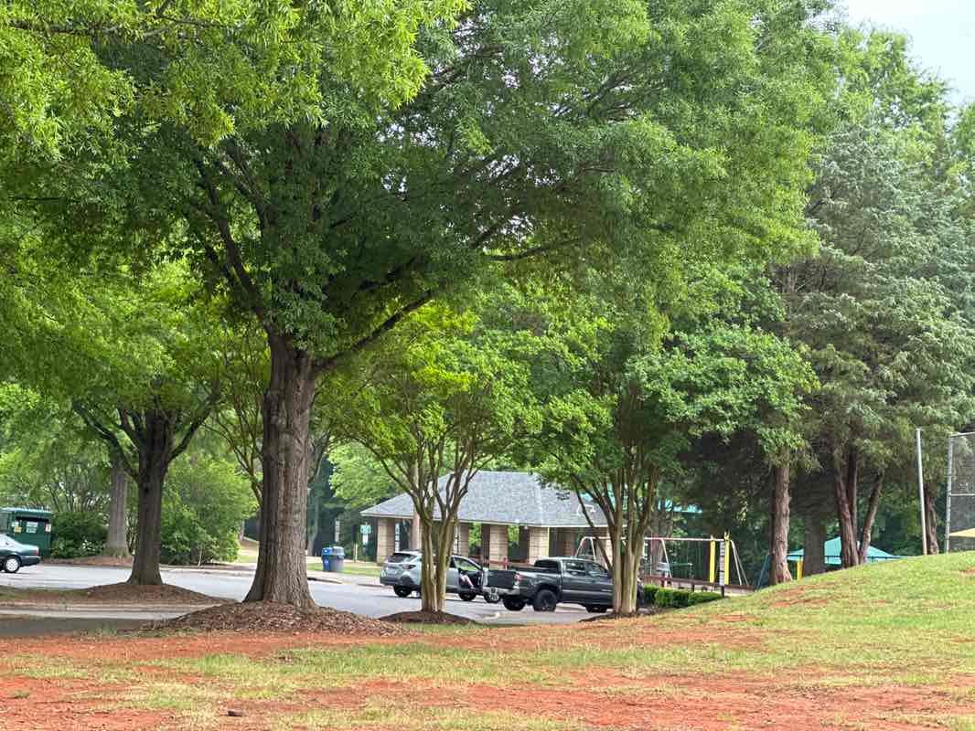 walking near me in Mint Hill Veterans Memorial Park in spring