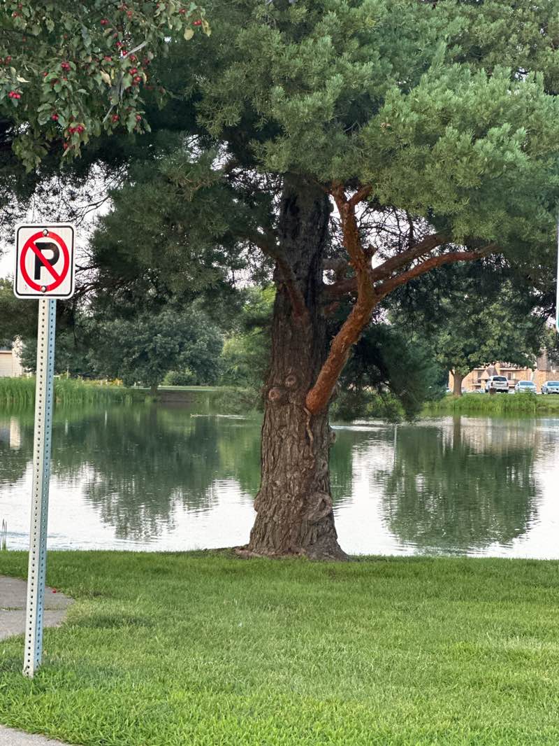 walking near me in Hawkeye Park in autumn