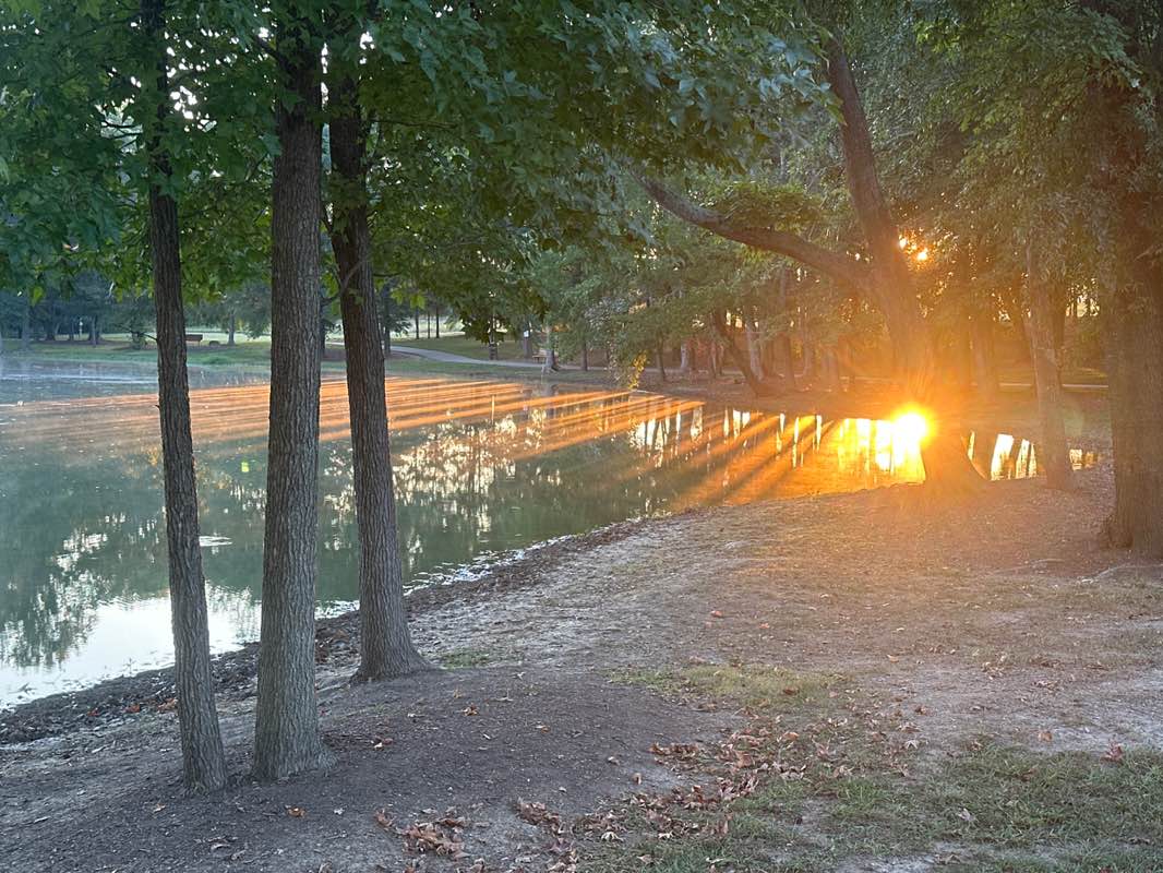 walking near me in Fairview Park in autumn