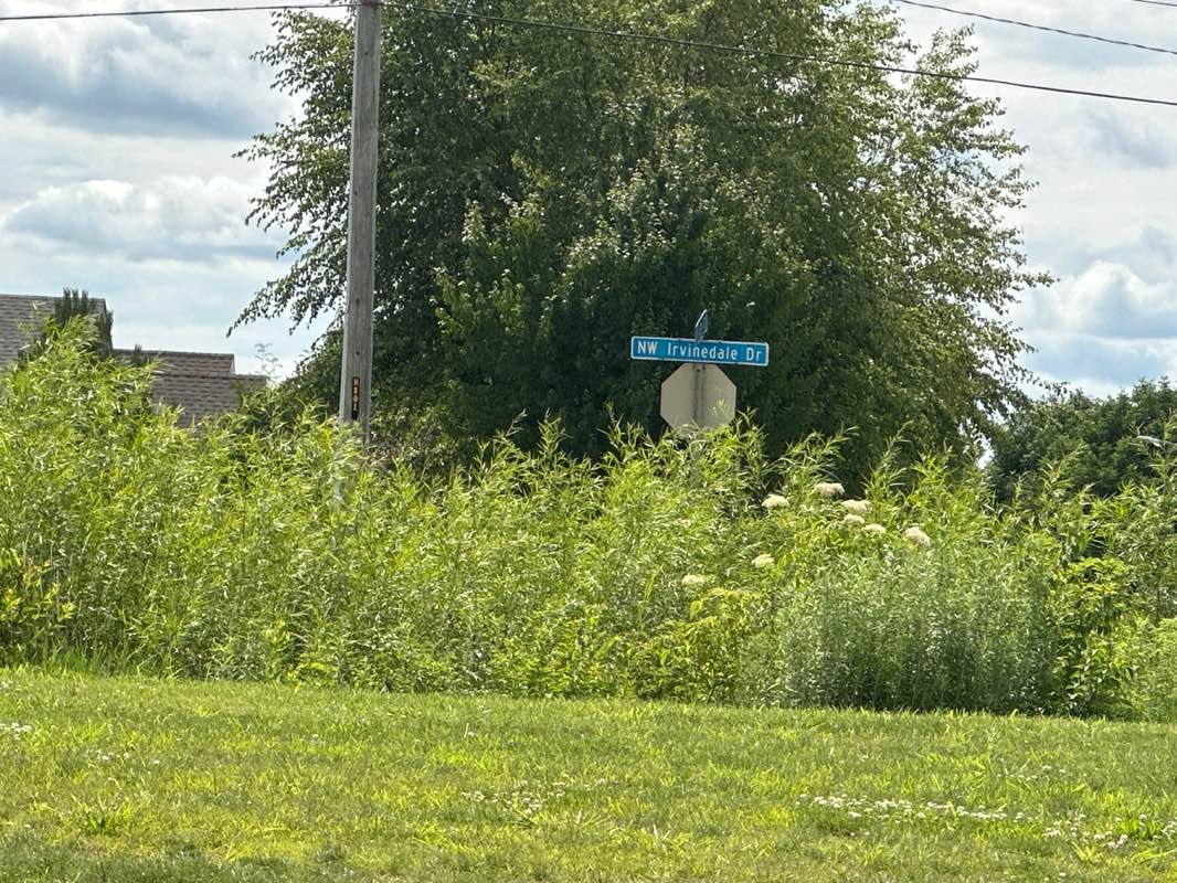 walking near me in North Creek Park in summer