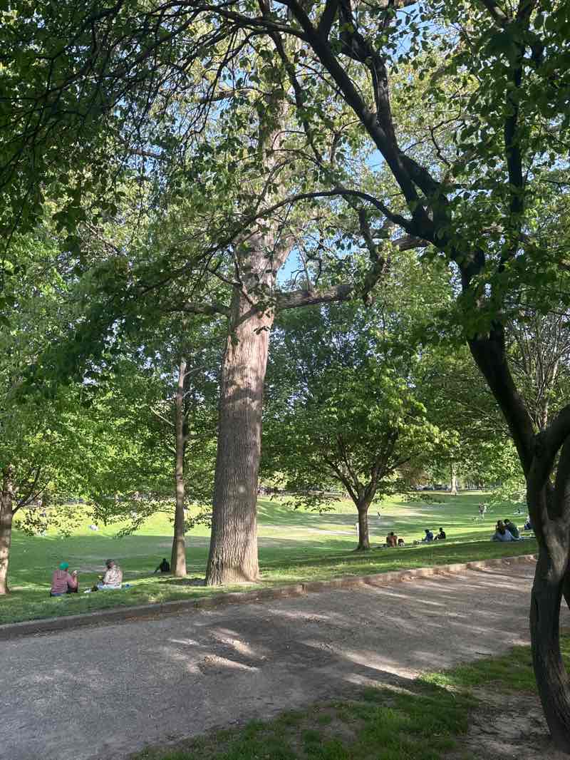 walking near me in Clarence H. Clark Park in spring