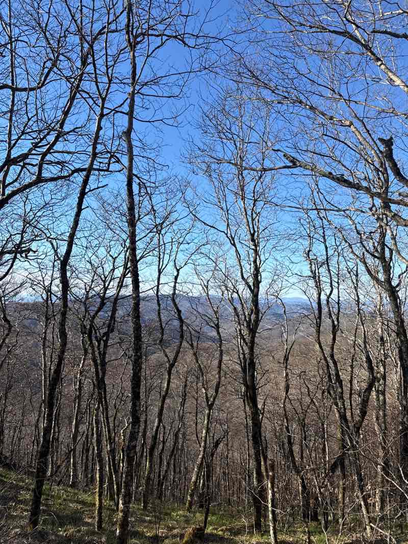 walking near me in Great Smoky Mountains National Park in spring