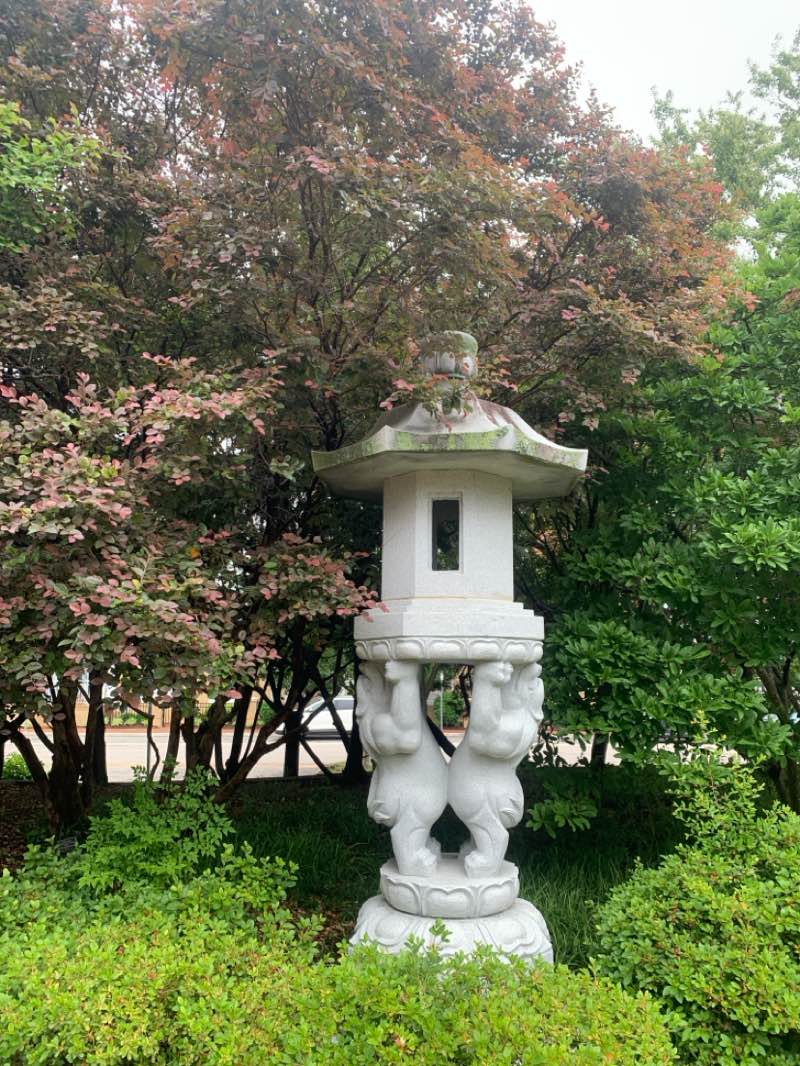 walking near me in Pagoda & Oriental Garden in spring